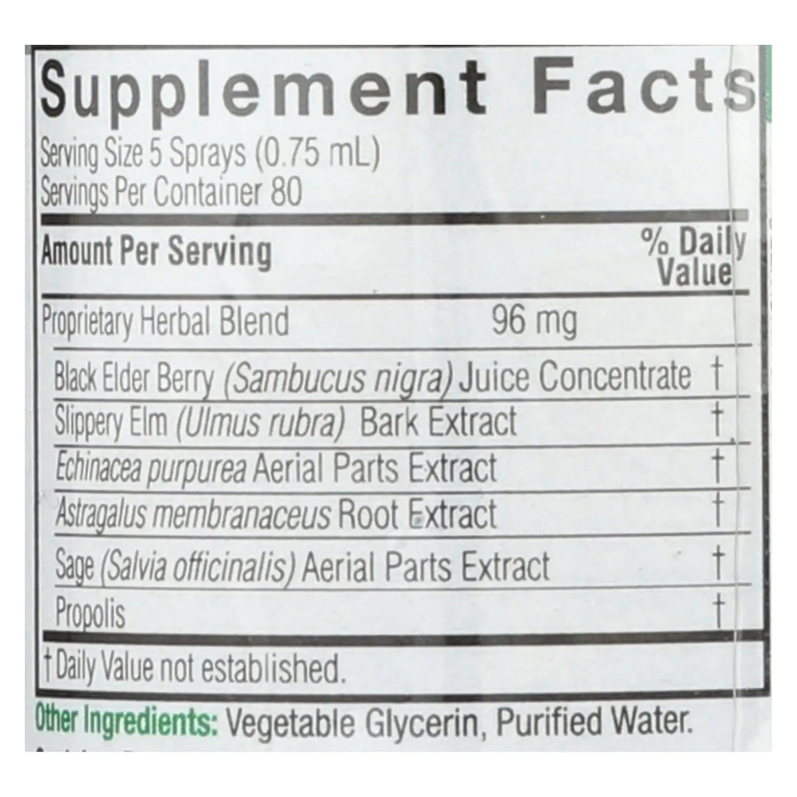 Nature's Answer - Sambucus Nigra Black Elder Berry Extract Spray - 2 Fl Oz Nature's Answer