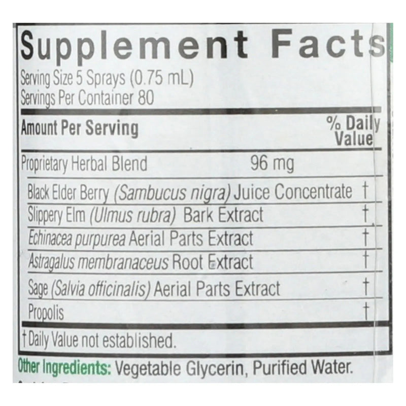 Nature's Answer - Sambucus Nigra Black Elder Berry Extract Spray - 2 Fl Oz Nature's Answer