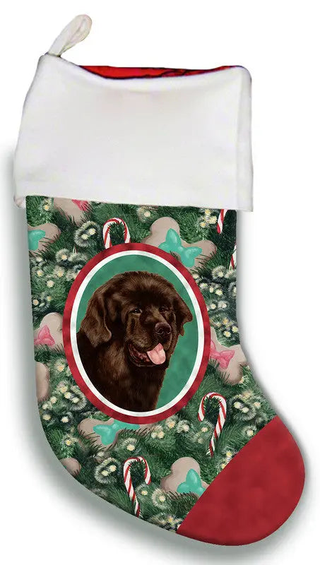 Newfoundland Chocolate- Best of Breed Christmas Stocking Best of Breed