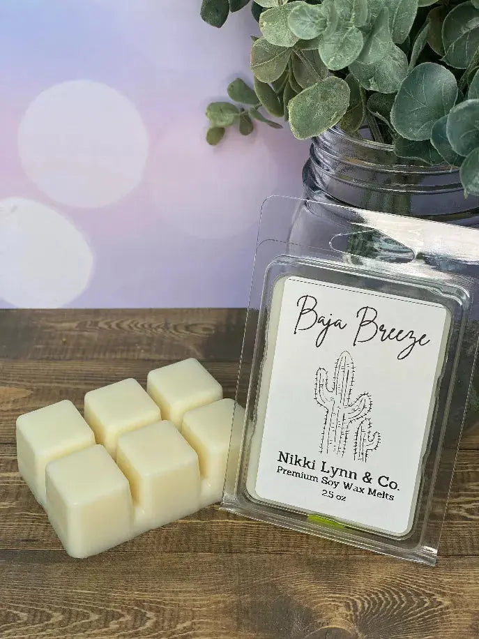 Nikki Lynn & Co. Summer Wax Melts (Pack of 6) Nikki Lynn & Co