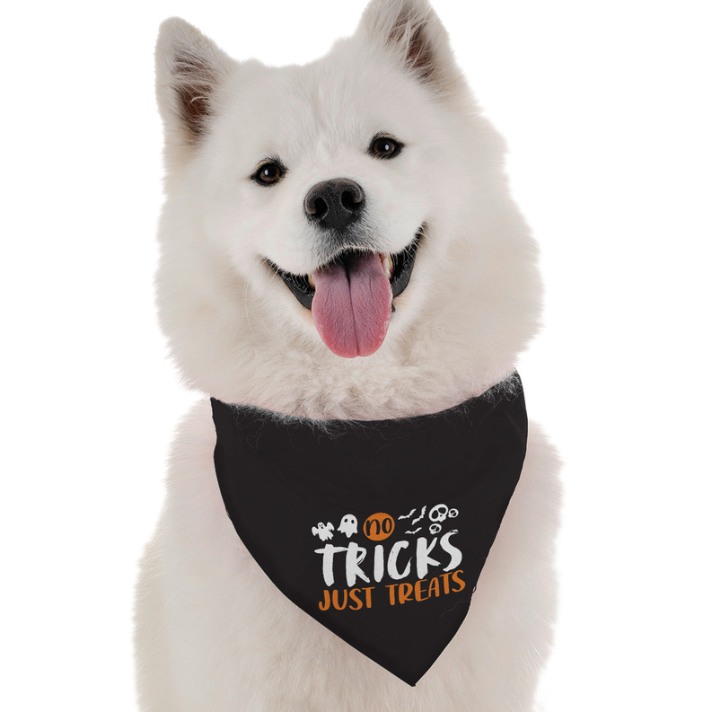 No Tricks, Just Treats Bandoggies
