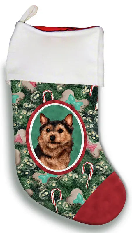 Norwich Terrier- Best of Breed Christmas Stocking Best of Breed