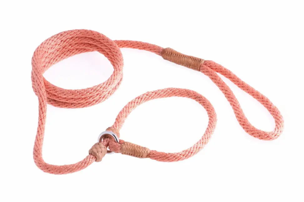 Nylon Slip Leash With 2 Stoppers Alvalley LLC