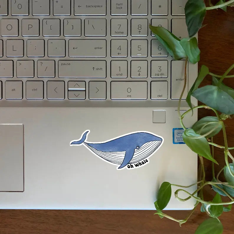 Oh Whale Sticker The Crafted Prints