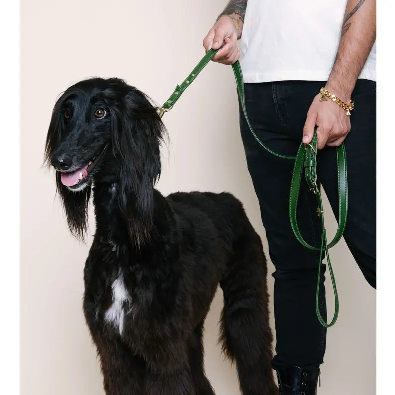 Olive Cactus Leash DIPHDA