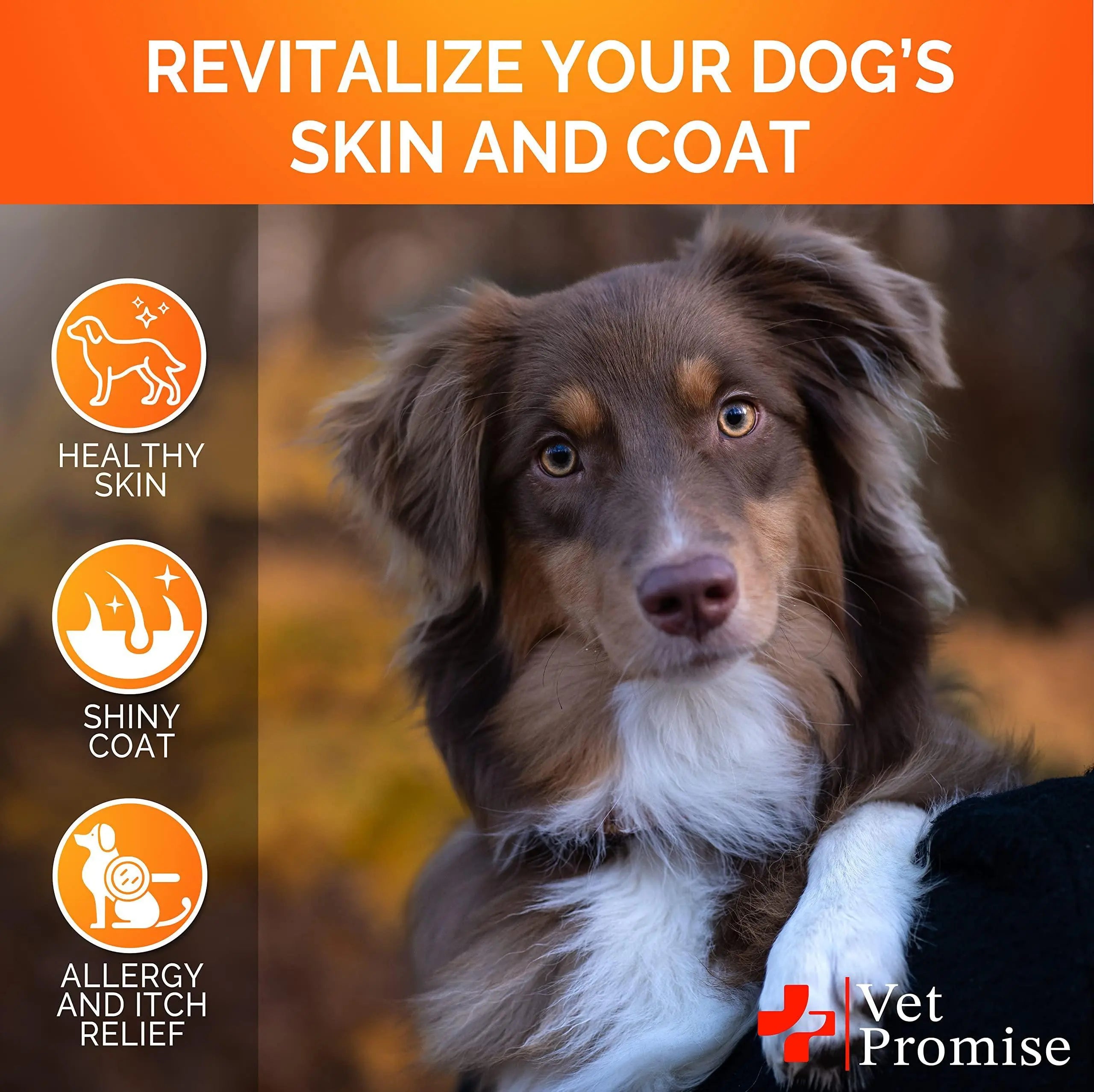Omega 3 for Dogs   Dog Skin and Coat Supplement   Fish Oil for Dogs Chews   Allergy and Dog Itch Relief   Dog Anti Shedding Supplement   Dog Dry Skin Treatment   Salmon Oil   Made in USA   120 Treats Vet Promise
