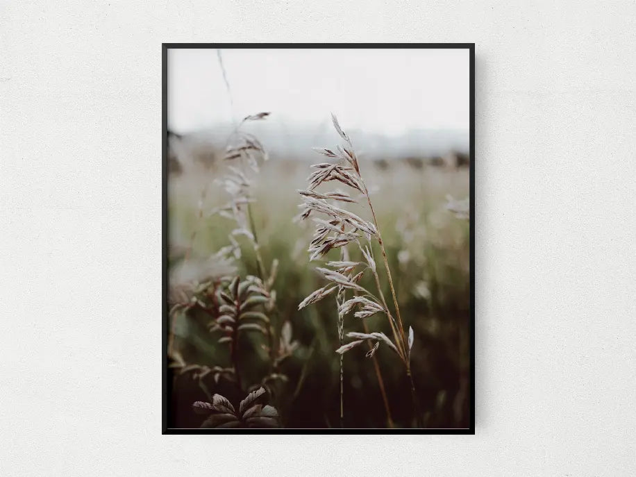 Open Fields The Crafted Prints