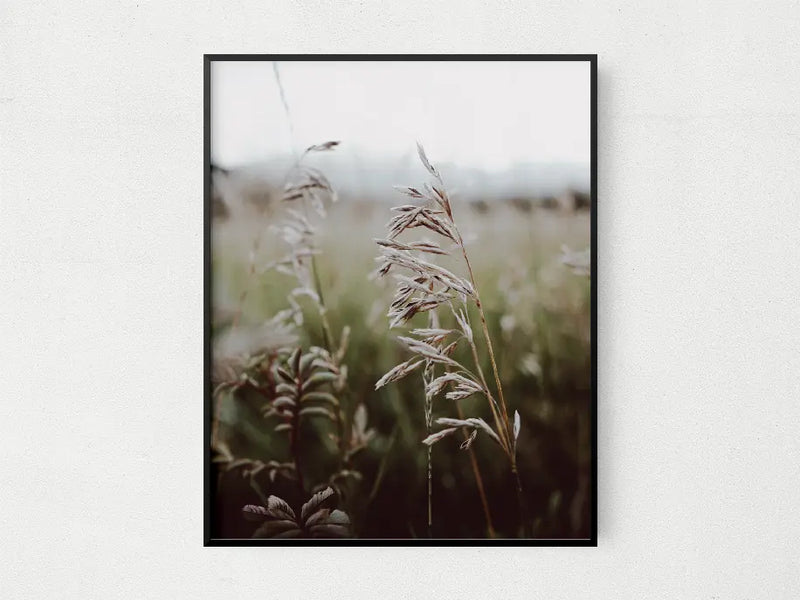 Open Fields The Crafted Prints