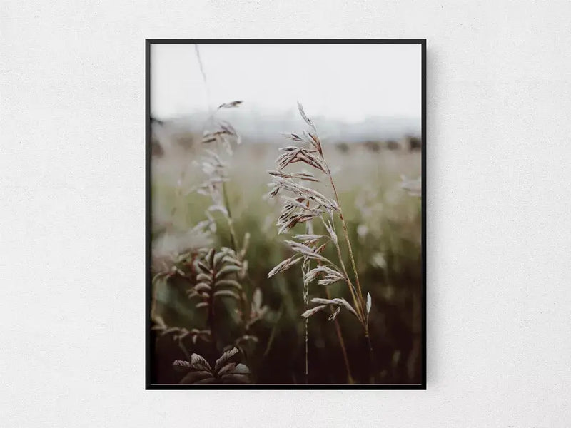 Open Fields The Crafted Prints