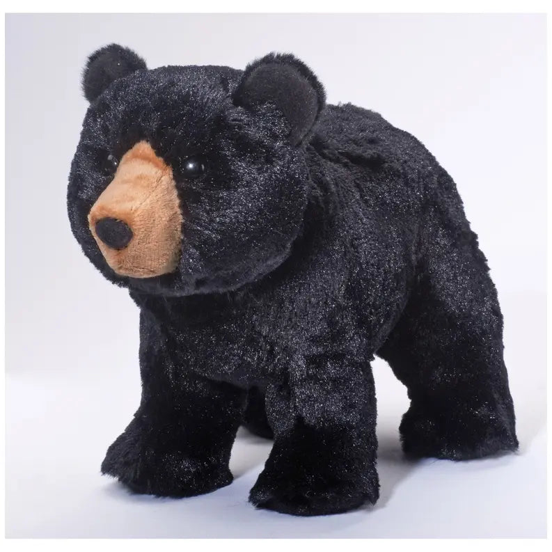 Orso Black Bear Raul E New York