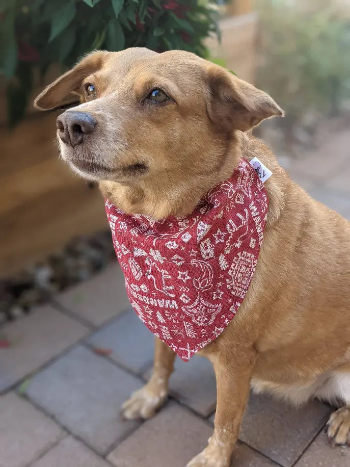 Over-The-Collar Dog Bandana That's Sew LambMa