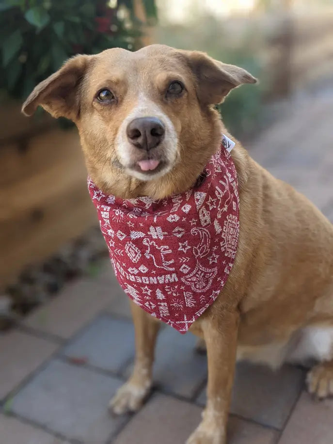 Over-The-Collar Dog Bandana That's Sew LambMa
