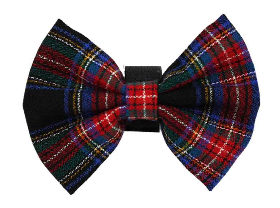 PR4013|Pets Ribbons Pets Ribbons