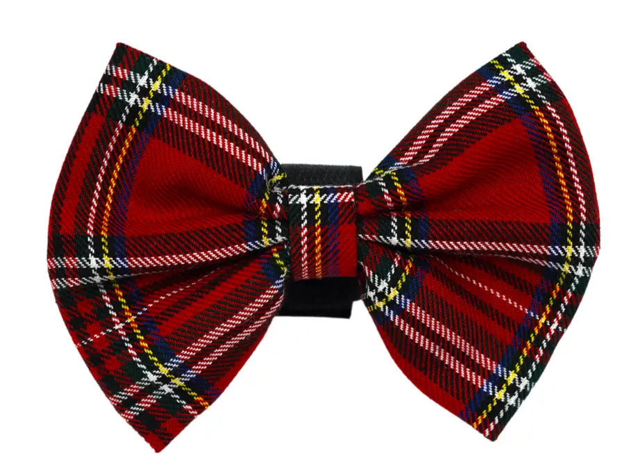 PR4013|Pets Ribbons Pets Ribbons