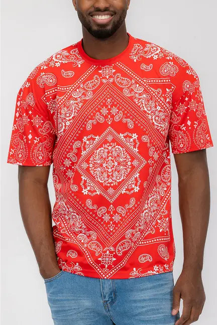 Paisley Print Tshirt WEIV