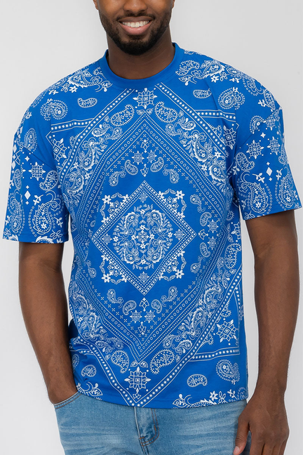 Paisley Print Tshirt WEIV