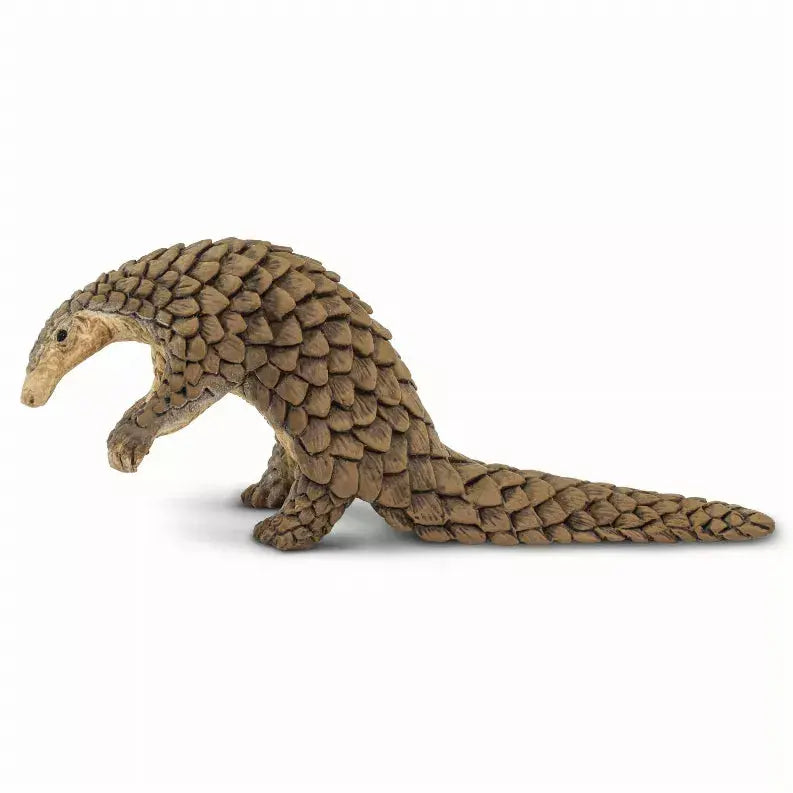 Pangolin Safari LTD