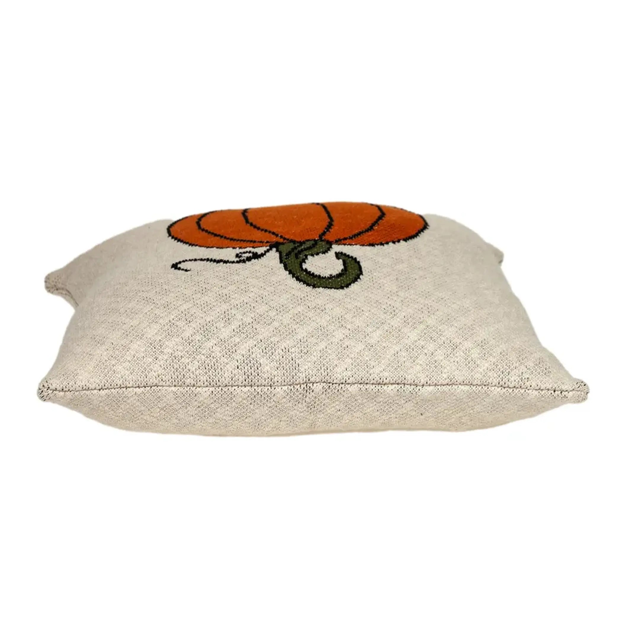 Parkland Collection Casper Transitional Beige Throw Pillow Parkland Collection