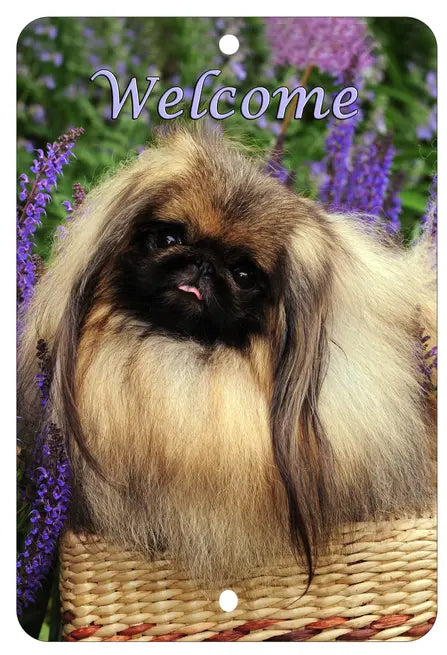 Pekingese - Best of Breed  Indoor/Outdoor Aluminum Sign Best of Breed