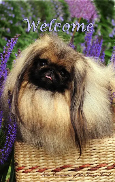 Pekingese - Close Encounters of the Furry Kind Welcome  House and Garden Flags Best of Breed
