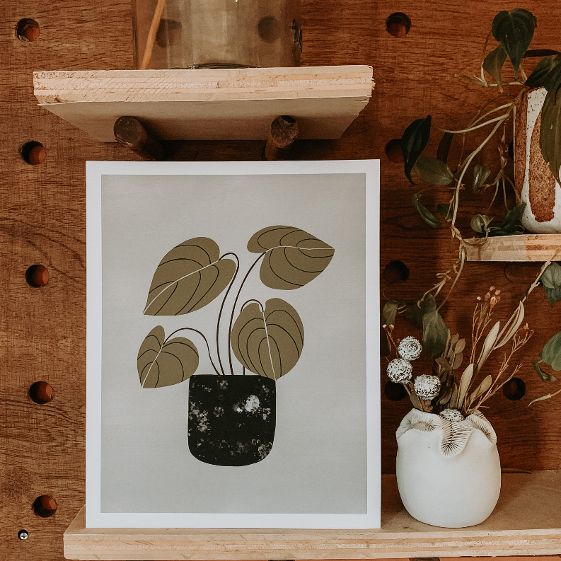 Peperomia The Crafted Prints