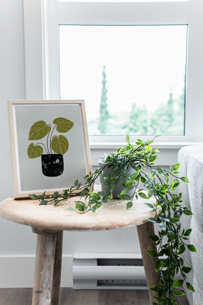 Peperomia The Crafted Prints