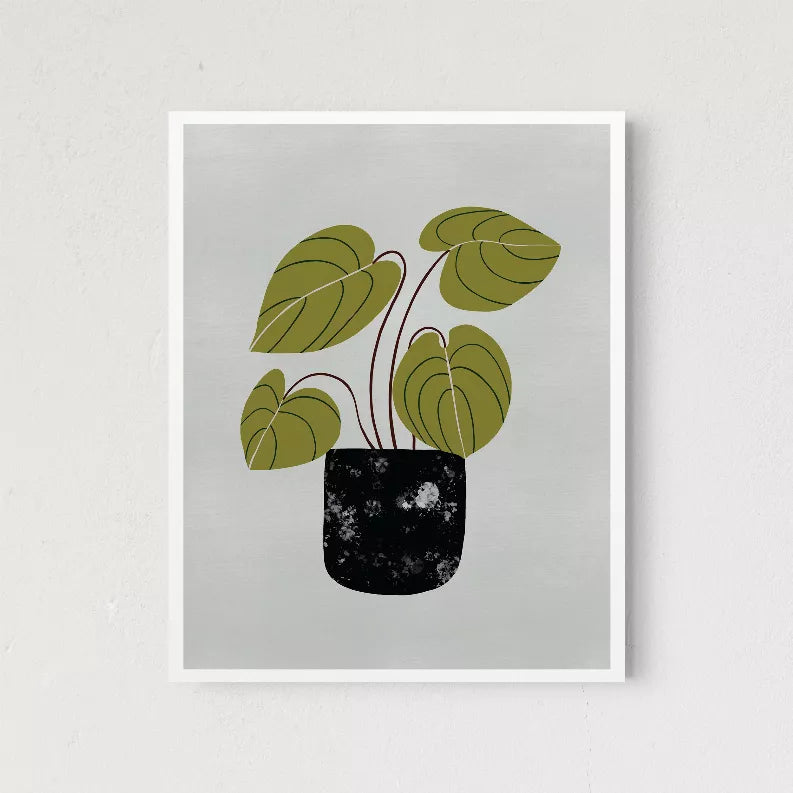 Peperomia The Crafted Prints