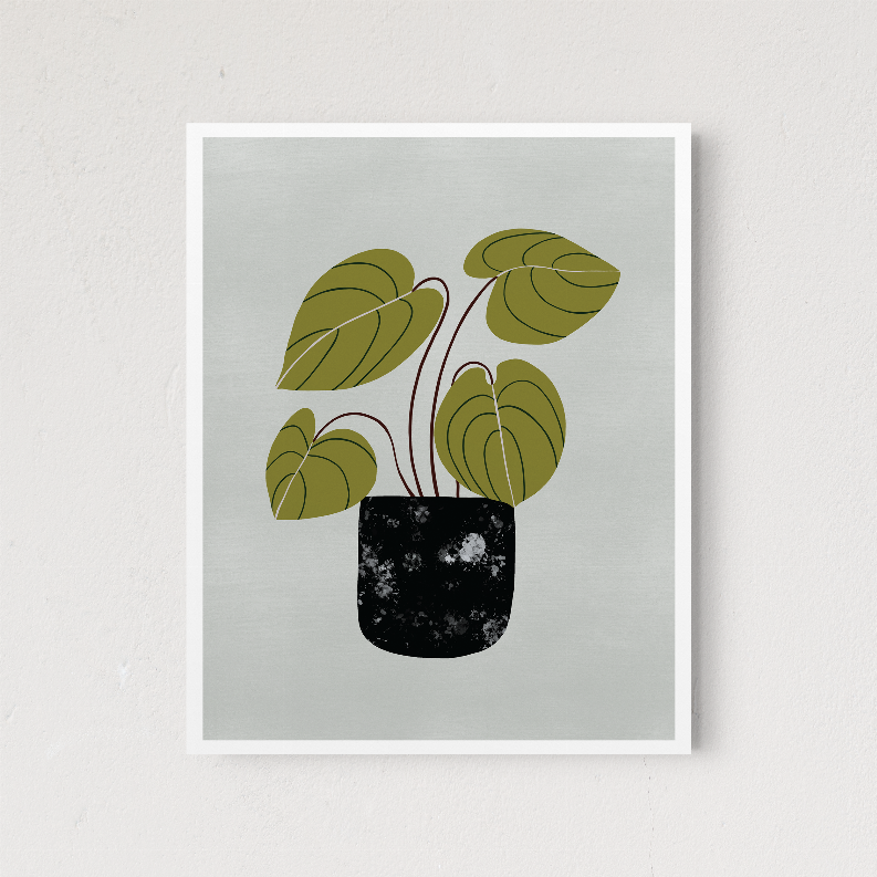 Peperomia The Crafted Prints