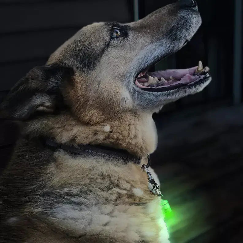 Pet Blinkers Flashing LED Pet Safety Light Flipo