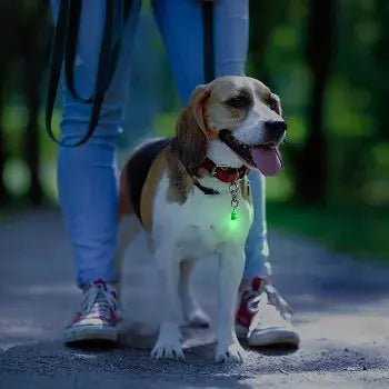 Pet Blinkers Flashing LED Pet Safety Light Flipo