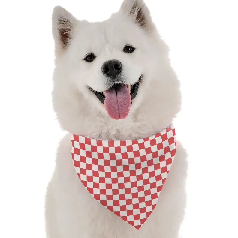 Picnic Bandoggies