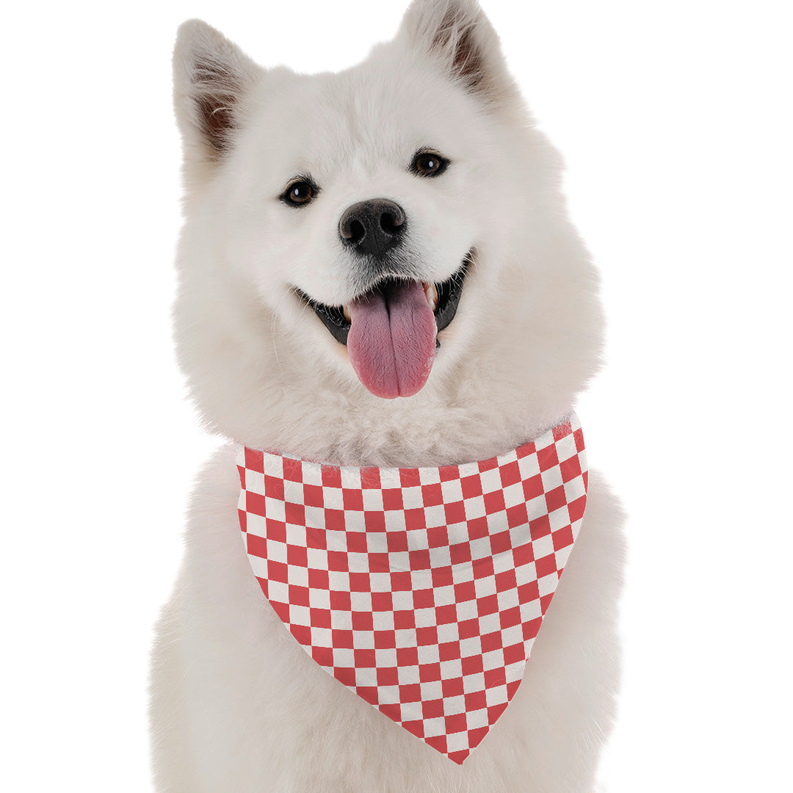 Picnic Bandoggies