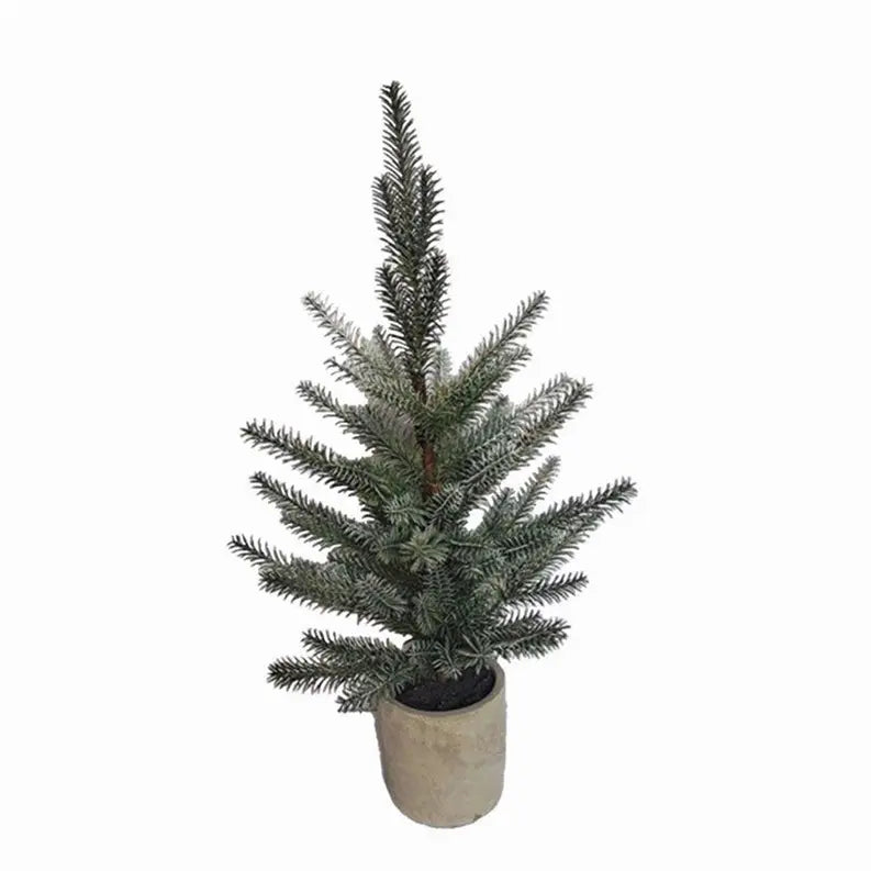 Pine Tree in Plastic Pot Melrose International