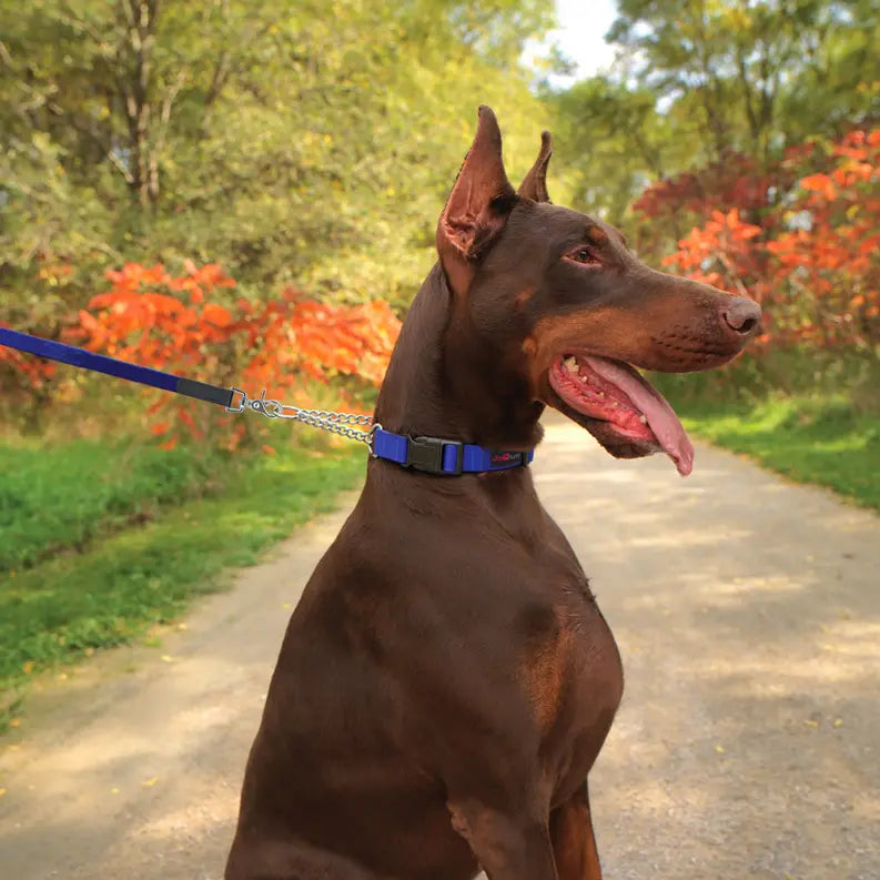 Play Martingale Collar Ultrahund
