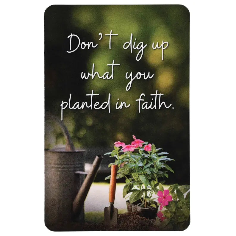 Pocketcard Dont Dig Up What You Planted Dicksons Inc