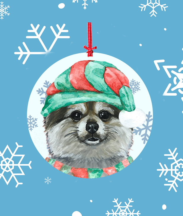 Pomeranian -   Hippie Hound Studios Christmas Tree Ornament Best of Breed