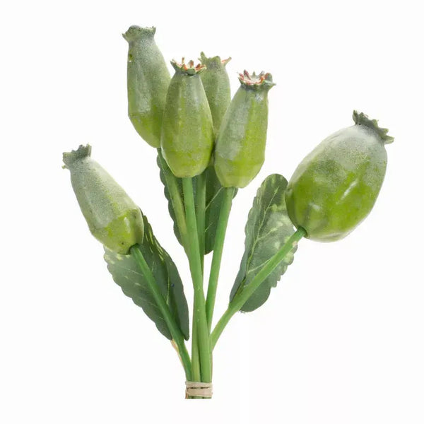 Poppy Pod Bundle (Set of 6) 9.5"H Foam/Plastic Melrose Intl.
