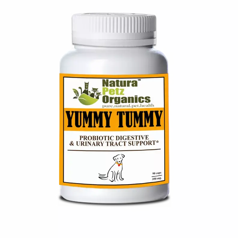 Probiotic Digestive, Bladder & Urinary Tract Support* Organic Pet Systems