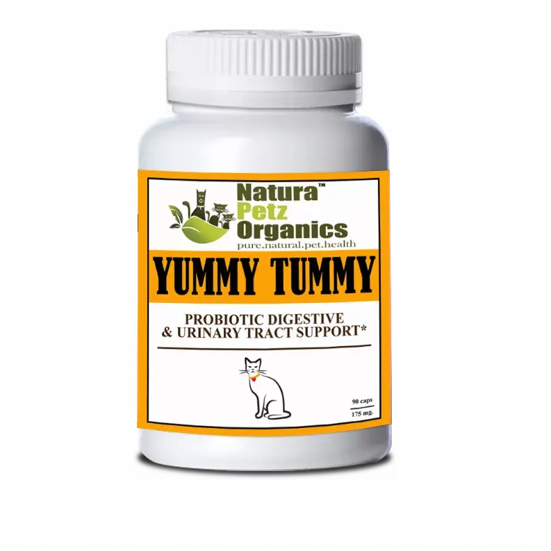 Probiotic Digestive, Bladder & Urinary Tract Support* Organic Pet Systems
