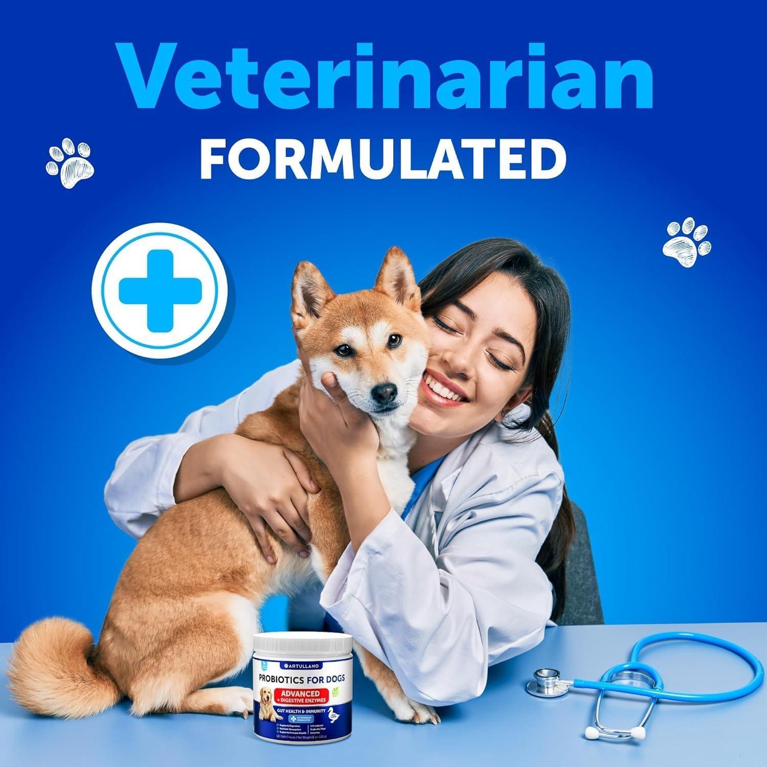 Probiotics for Dogs   Support Gut Health Itchy Skin Allergies Immunity Yeast Balance   Dog Probiotics and Digestive Enzymes with Prebiotics   Reduce Diarrhea Gas   120 Probiotic Chews for Dogs Artullano