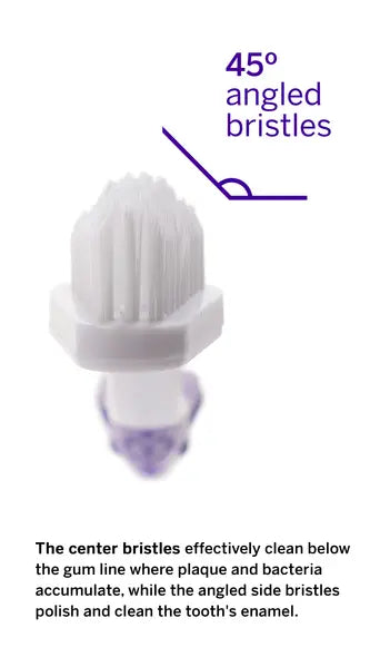 Professional Pet Toothbrush - Patented 45 Degree Dual-Ended Brush Head Petsmile