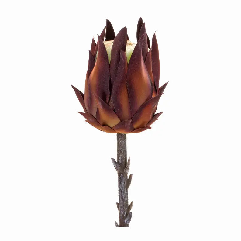 Protea Stem (Set of 6) 20"H Plastic Melrose Intl.