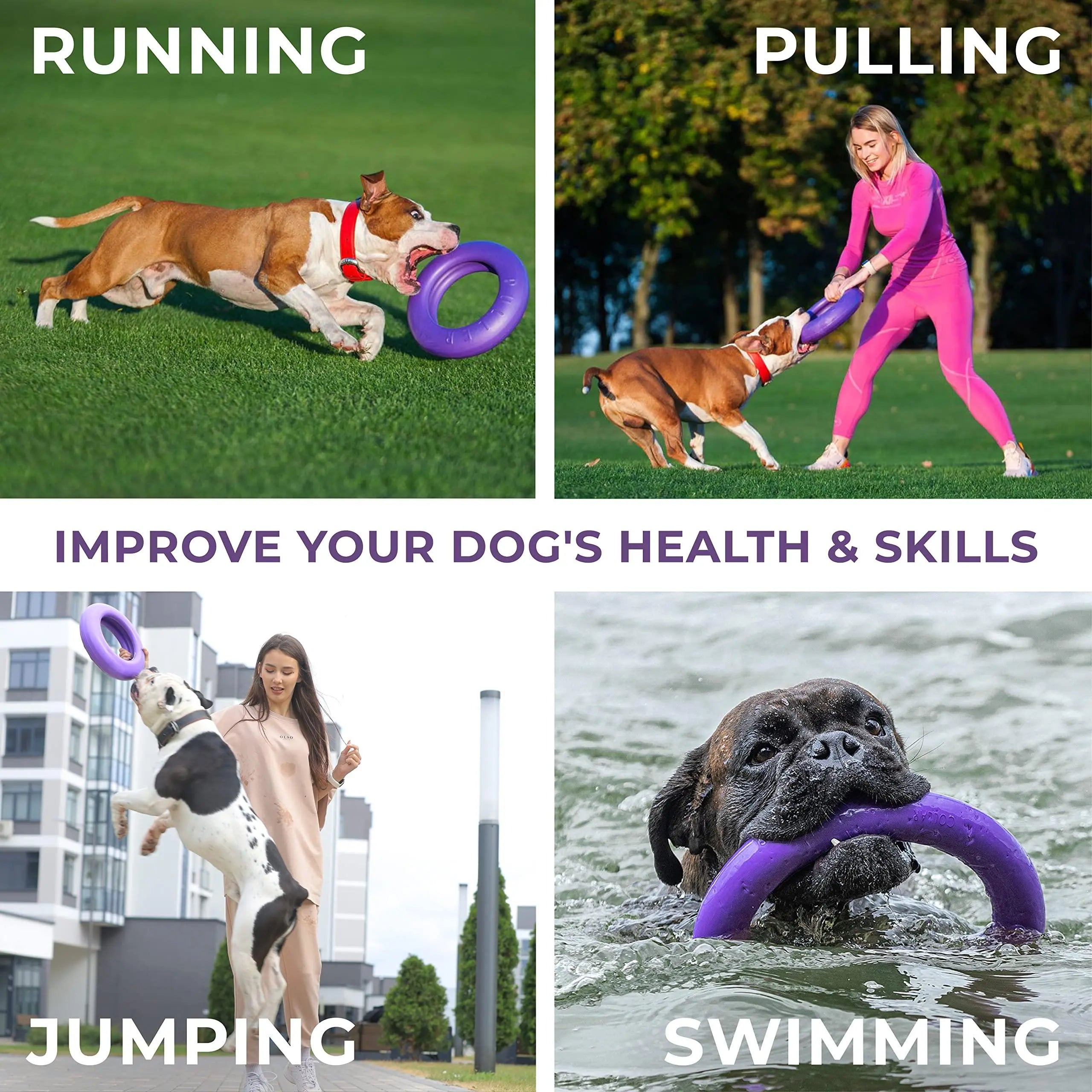 Puller Outdoor Dog Ring Toys   Dog Fetch Toy & Tug of War Dog Toy for Small Medium Large Dogs   Dog Ball & Soft Dog Frisbee Alt   Outside Dog Yard Toys   Big Dog Pull Toy   Best Dog Exercise Equipment Collar