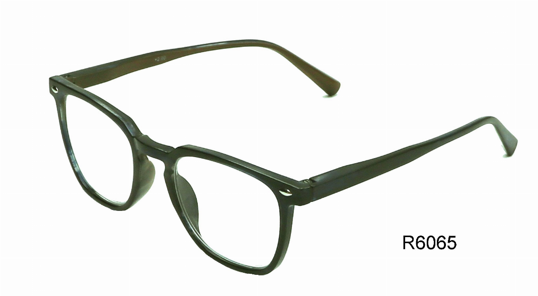 R6065 Reading Glasses Genesis International