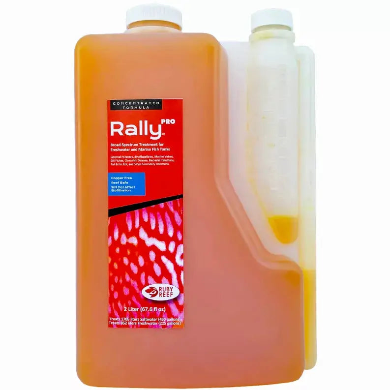 Rally PRO Ruby Reef