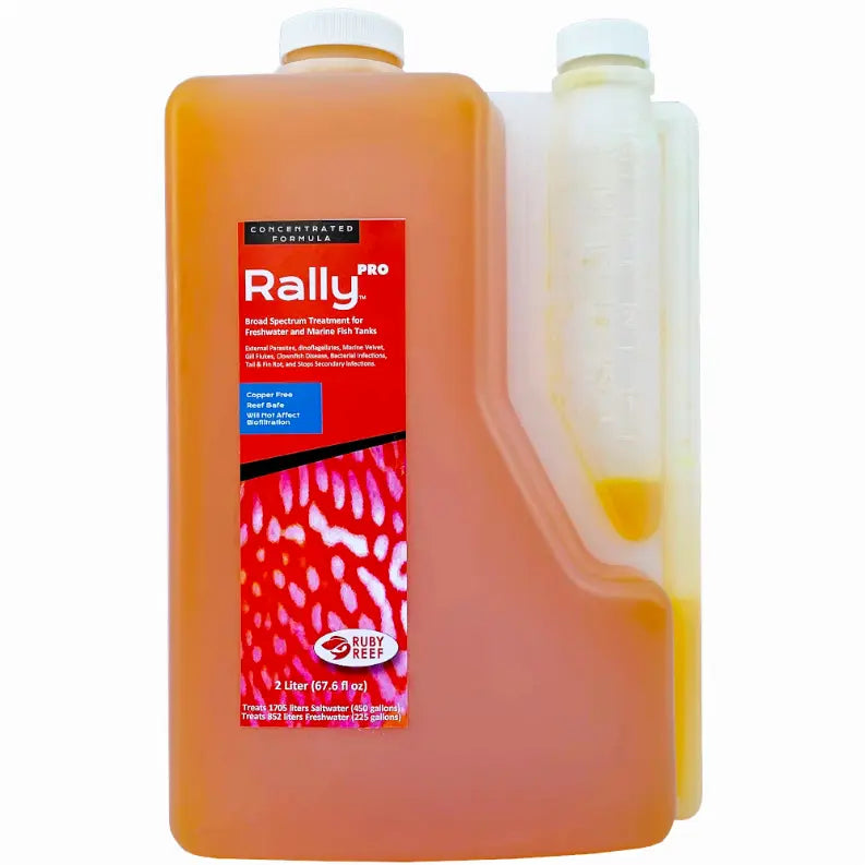 Rally PRO Ruby Reef