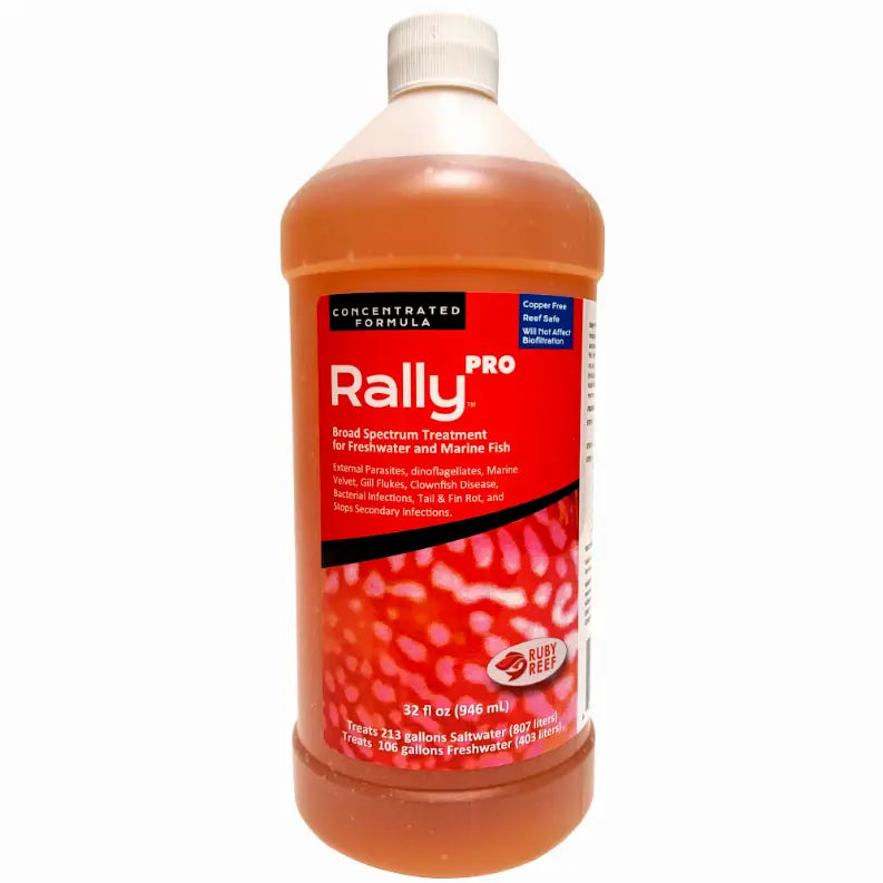 Rally PRO Ruby Reef