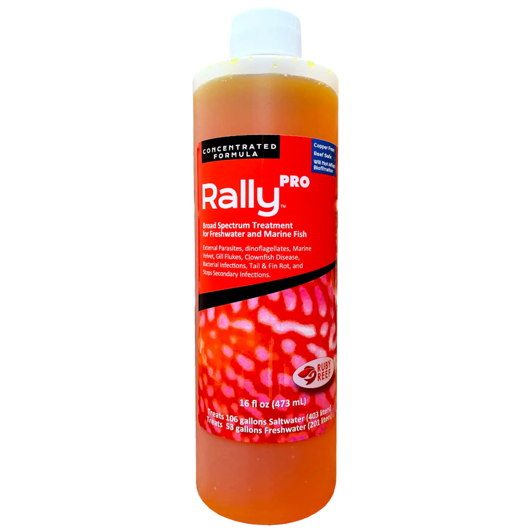 Rally PRO Ruby Reef