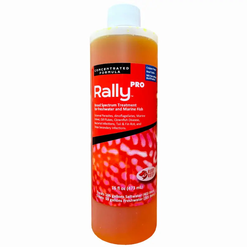 Rally PRO Ruby Reef