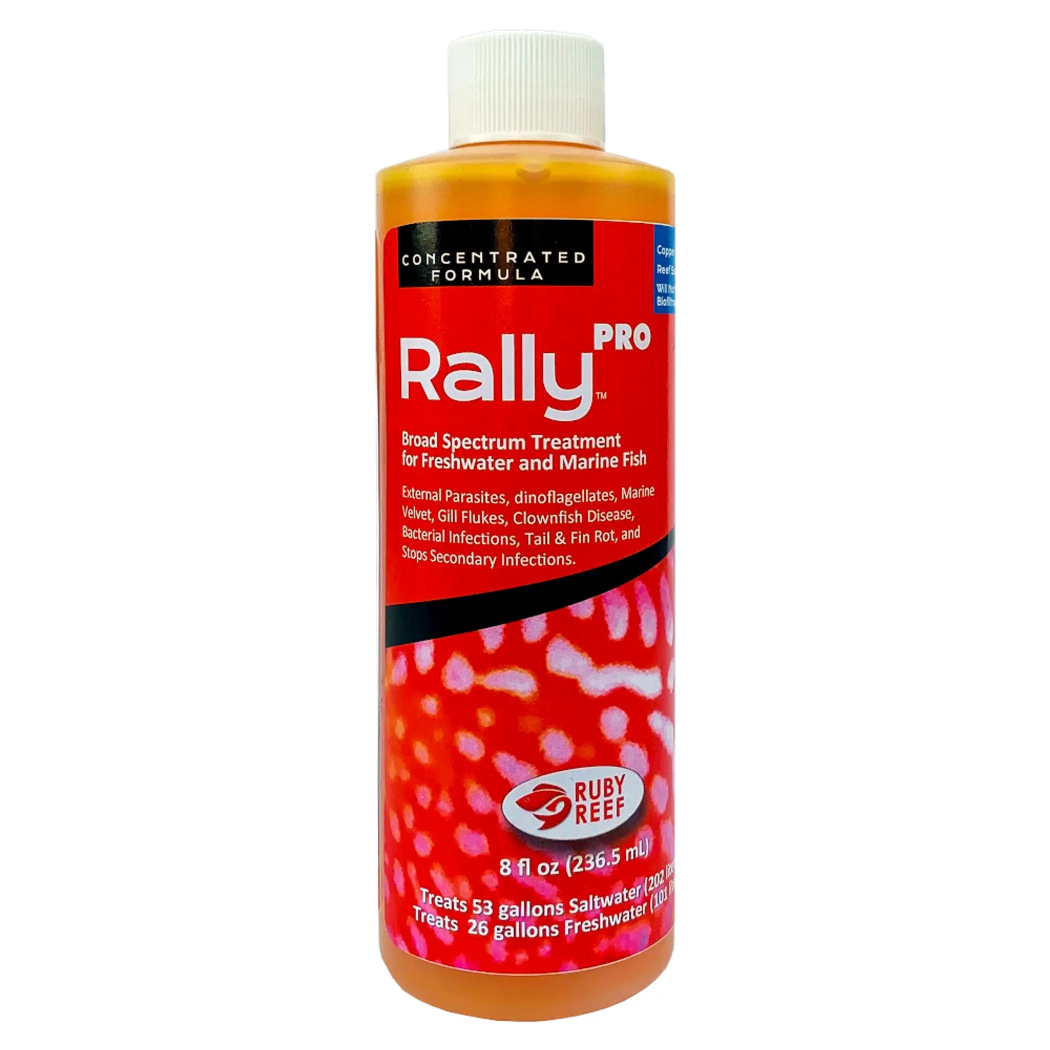 Rally PRO Ruby Reef